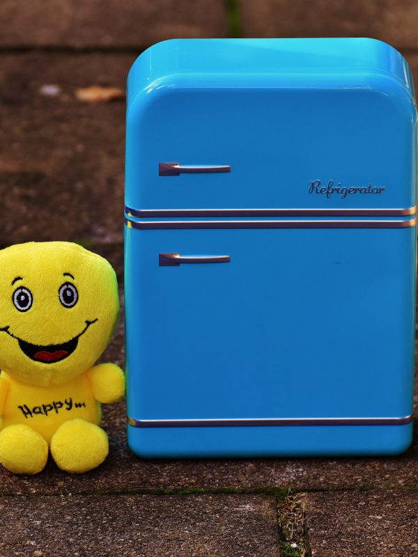 Portable Fridge